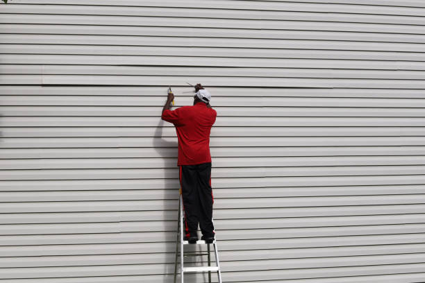 Best Siding Painting and Refinishing  in Winnemucca, NV